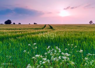 Продажа участка, 321.4 сот., село Чаадаево