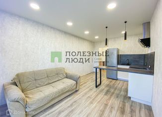 Сдается в аренду квартира студия, 26 м2, поселок Придорожный, Губернаторская улица, 65
