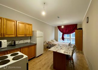 Продам квартиру студию, 22.1 м2, посёлок Парголово, Толубеевский проезд, 8к2