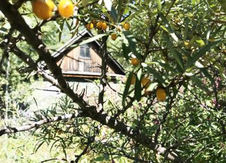 Продажа дома, 30 м2, село Чёрная Речка, Лесная улица