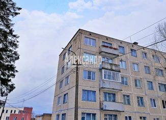 Продается 2-комнатная квартира, 44.4 м2, Каменногорск, Ленинградское шоссе, 85