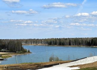 Продается участок, 37 сот., деревня Манушкино