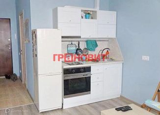 Продается квартира студия, 25 м2, Новосибирск, Дачная улица, 23/5, Дачная улица
