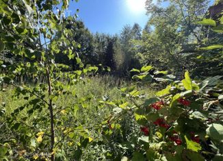 Продается участок, 10 сот., деревня Грибцово, Прудная улица