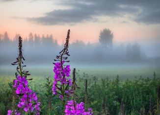 Продается земельный участок, 8 сот., поселок Верхнекалиновский, Заречная улица