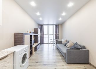 Продается квартира студия, 24.5 м2, Санкт-Петербург, Репищева улица, 10к2, Репищева улица