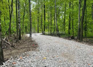 Продам участок, 4.41 сот., деревня Малое Видное