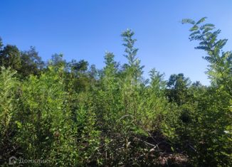 Продается участок, 6.35 сот., ДНТ Океан