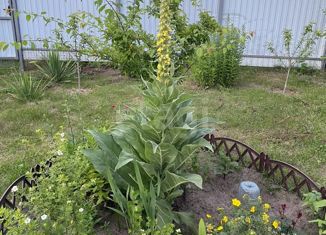 Продаю дом, 45 м2, село Ковалево