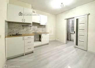 Продается квартира студия, 23.5 м2, Никольское, Школьная улица, 2Б