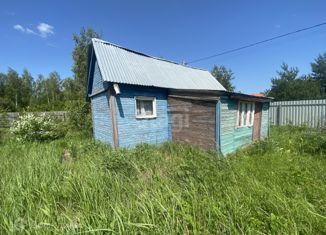 Дом на продажу, 40 м2, СНТ Сосновый Бор, СНТ Сосновый Бор, 216