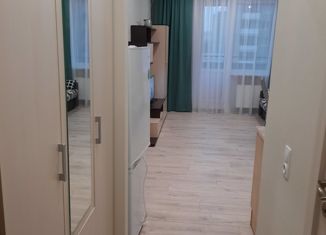 Сдам в аренду квартиру студию, 25 м2, Санкт-Петербург, улица Маршала Тухачевского, 23, улица Маршала Тухачевского