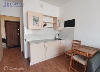 Продаю квартиру студию, 24.3 м2, Петергоф, Петергофская улица, 8