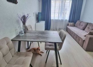 Продается однокомнатная квартира, 41 м2, Краснодар, улица Красных Партизан, 1/4к8, микрорайон Светлоград