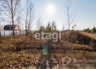 Продам земельный участок, 12 сот., деревня Коняшина