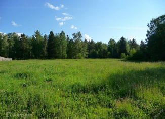 Участок на продажу, 3000 сот., деревня Белая Поляна, 22Н-2045