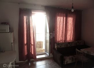 Продаю квартиру студию, 25.6 м2, Санкт-Петербург, метро Старая Деревня, Полевая Сабировская улица, 45к1