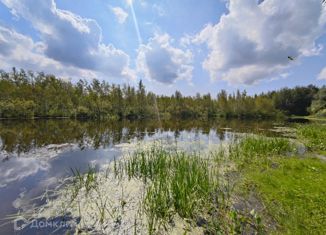 Продажа земельного участка, 8 сот., село Новая Тура, Нижняя улица, 21