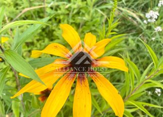 Продается дом, 32 м2, некоммерческое садоводческое товарищество Чистое Озеро Университет