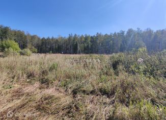 Продам участок, 15 сот., деревня Большое Таскино