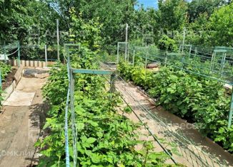 Продается дом, 35 м2, СНТ Полезный Отдых-1, СНТ Полезный Отдых-1, 19