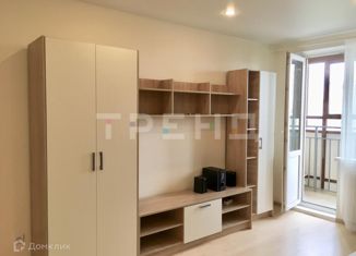 Продается квартира студия, 26.5 м2, Санкт-Петербург, Заречная улица, 11к2, метро Парнас