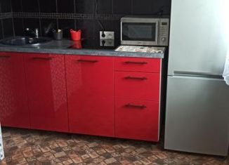 Аренда однокомнатной квартиры, 38 м2, Москва, улица Авиаконструктора Миля, 11к1, метро Жулебино