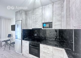 Сдается квартира студия, 30 м2, поселок Бугры, Гаражный проезд, 23к2, ЖК Новые Горизонты