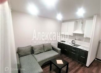 Сдам квартиру студию, 24 м2, Мурино, улица Шувалова, 16/9, ЖК Созвездие