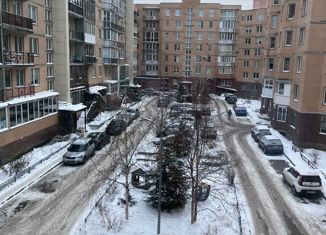 Однокомнатная квартира на продажу, 42.8 м2, Санкт-Петербург, 1-я Утиная улица, 28, 1-я Утиная улица