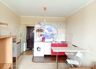 Продаю квартиру студию, 24 м2, Новосибирск, Рябиновая улица, 10/1, Рябиновая улица