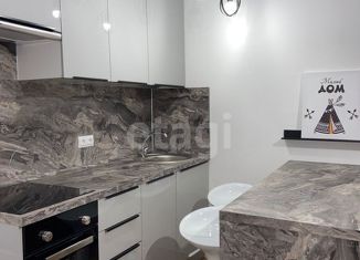 Продажа квартиры студии, 19.7 м2, Москва, проезд Черепановых, 74, проезд Черепановых