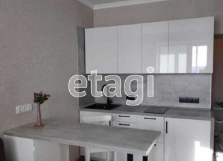 Сдам в аренду квартиру студию, 24 м2, Новосибирск, Рубиновая улица, 4, Советский район