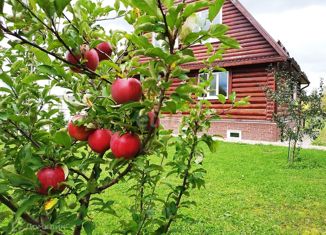 Продаю дом, 300 м2, деревня Мельниково, Весенняя улица, 21/1