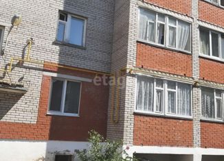 Продается 1-комнатная квартира, 37.5 м2, село Николо-Берёзовка, Молодёжная улица, 7А