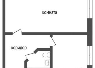 Продам 1-комнатную квартиру, 29.9 м2, Сургут, Трубная улица, 5/3