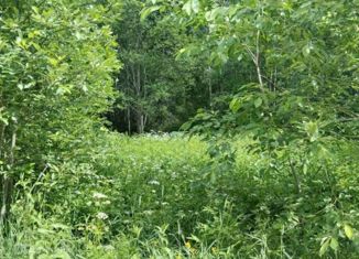 Продажа земельного участка, 6 сот., поселок Боровое