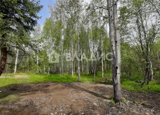 Продаю земельный участок, 20 сот., СНТ Серебряный Бор, СНТ Серебряный Бор, 165