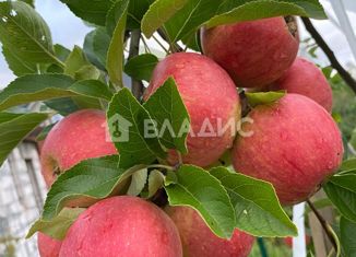 Продаю участок, 10 сот., поселок Медведевка, Покровская улица, 8