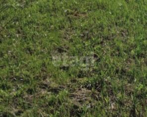 Продается земельный участок, 10 сот., поселок Верхняя Подстепновка, улица Специалистов