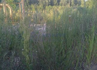 Продается участок, 106 сот., деревня Межуйки