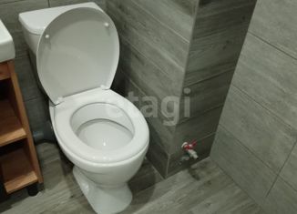 Продам квартиру студию, 20 м2, деревня Батино, улица Сергея Есенина, 15