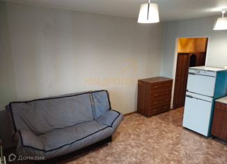 Продажа квартиры студии, 20.8 м2, Новосибирск, Березовая улица, 19, Березовая улица
