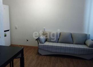 Квартира на продажу студия, 30.2 м2, Екатеринбург, улица Яскина, 14/2, улица Яскина