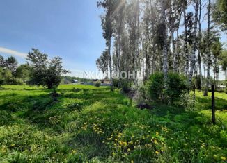 Продажа участка, 8 сот., село Березовка