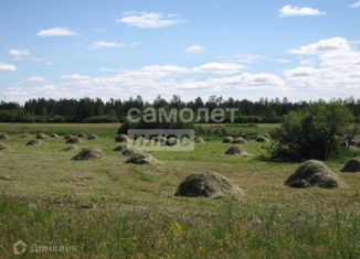 Продаю земельный участок, 20000 сот., село Намцы, улица Степана Платонова