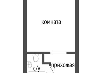Однокомнатная квартира на продажу, 18.2 м2, Курган, улица Некрасова, 31