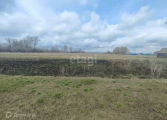 Продается участок, 31 сот., село Мраково, Цветочная улица