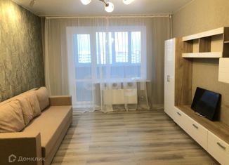 Сдается 1-комнатная квартира, 42 м2, Брянск, улица А.К. Толстого, 4, Бежицкий район