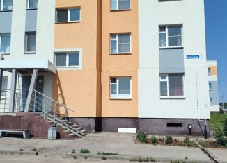 Продается 2-комнатная квартира, 53.5 м2, сельский посёлок Новинки